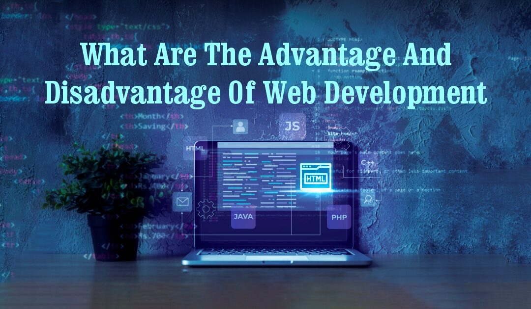 What are the advantage and disadvantage of web development: