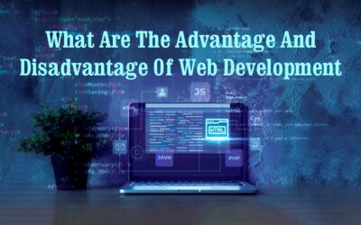 What are the advantage and disadvantage of web development: